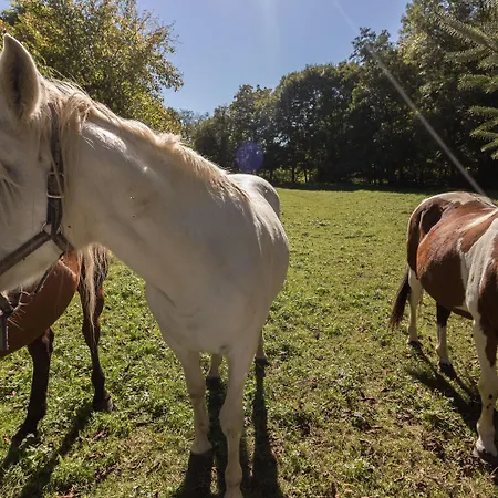 Le Moulin De Cabanis 別荘 Saint-Marcet