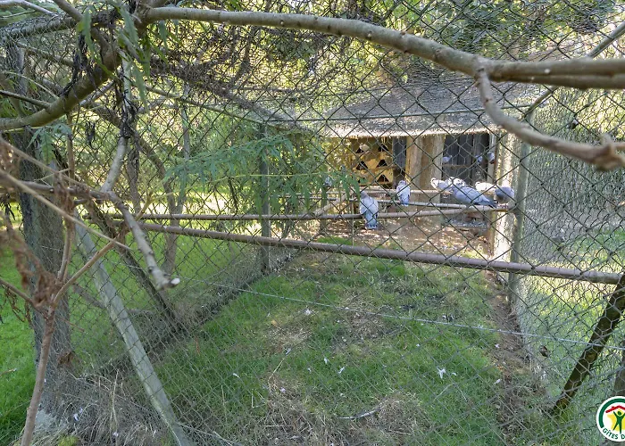 Le Moulin De Cabanis Saint-Marcet