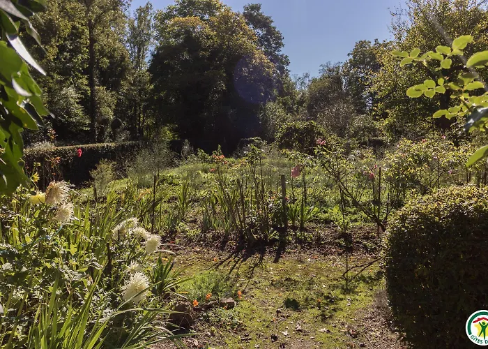 Le Moulin De Cabanis 別荘 *