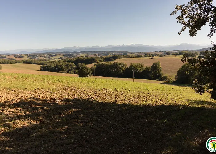 Le Moulin De Cabanis