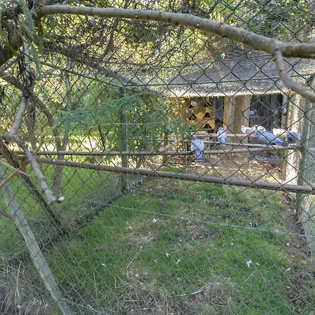 Le Moulin De Cabanis Saint-Marcet