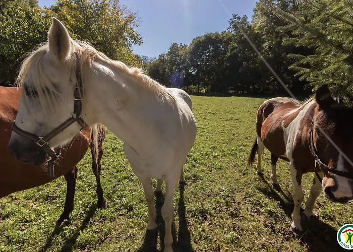 Le Moulin De Cabanis 別荘 Saint-Marcet