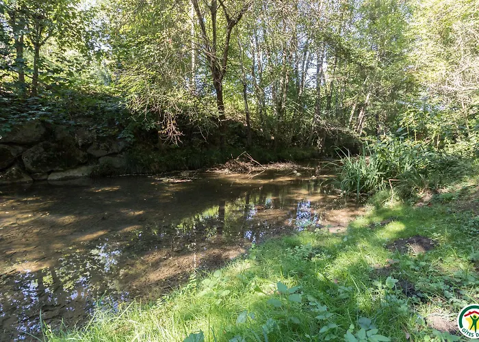 Le Moulin De Cabanis 別荘 Saint-Marcet